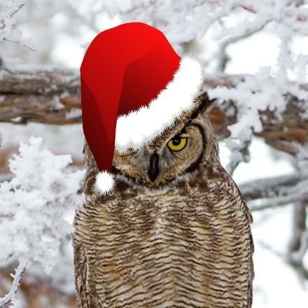 Spin_Assassin's profile picture. Educated. Opinionated. Western Separatist. Character.  Maximum individual rights.
Why pay for blue check when the algo can hate me free?