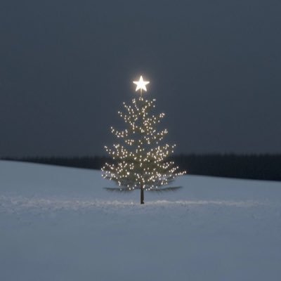 JayraRp's profile picture. นับดาวดวงน้อยๆที่จะคอยส่องสว่างให้ต้าห์อู๋กับออฟโรด🦖🚗⭐️ ปล.ชั้นจะเติบโตไปพร้อมๆกับต้าห์อู๋ออฟโรด