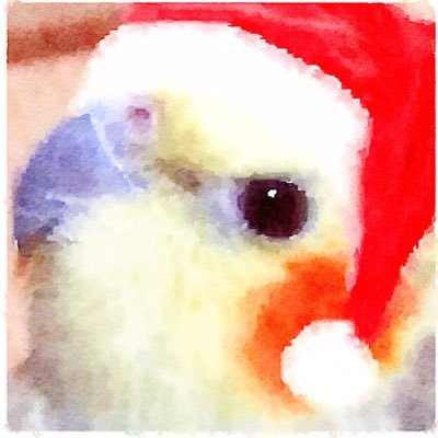 shengyan's profile picture. ネットワークスペシャリストで情報セキュリティスペシャリスト。好き:鳥類;スタートレック;テレビゲーム。最近はアークナイツとリアクション動画にはまっています。TwitterのRT以外のツイート・画像の転載やまとめを禁じます。