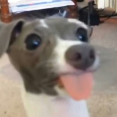 ossv0v's profile picture. 할수있다고믿기(그거말고할수있는게없음)