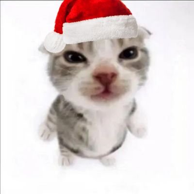 dedemedica's profile picture. estudando pra dar orgulho pro jungkook  | só sigo quem é do #studytwt