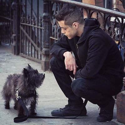 munene_trades's profile picture. Witnessing the future unfold