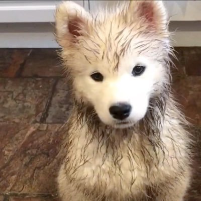 crazyleawjaa's profile picture. bkk|th.  #dek70  🥹🤌🏻                     support ^DMD^           
                 @jacrazyleawnaa !!!!