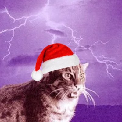 dktamt's profile picture. if i was a preacher i’d save a million souls 🦤 🇵🇸