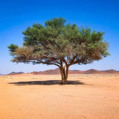 Learning4_AI's profile picture. enlighten your life with ur favorite products. https://t.co/1HbBDEF4QA