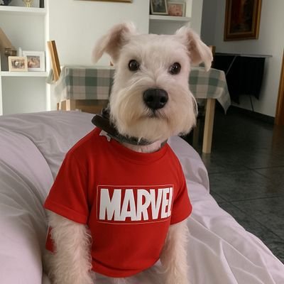 waldobng96's profile picture. 