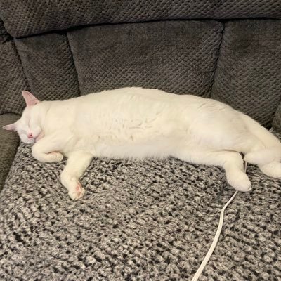 CodyKi2's profile picture. 