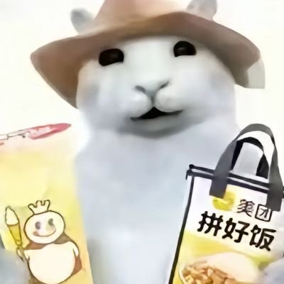 nga__bruh's profile picture. tgbtc forever