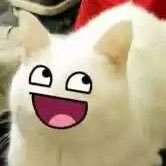 Rayon_cute's profile picture. A internet girl who draws fascinating art of one its kind My Yt: https://t.co/XC7u0K6g48. (Taken and I luv my Bf💓)