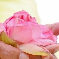 Nani Han. (@olata222) 's Twitter Profile Photo