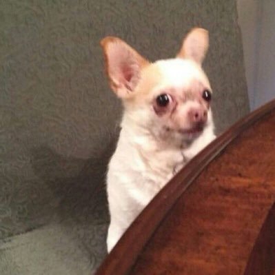 luvinren's profile picture. เค้ารักน้องเหริน