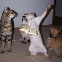 samapt22's profile picture. 