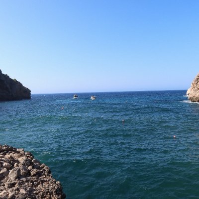 Egret116512ok's profile picture. "If you want a happy life, associate happiness with your goals, not with people or things." 🔥🔥