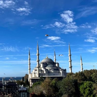 schumachermic1's profile picture. 情侣号，记录生活，分享生活。素质情侣夫妻交友，后续慢慢发展。