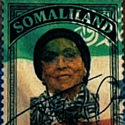 WajaaleMan's profile picture. Geopolitics, Counter-Terrorism, Tech, AI, Strategy, Defence, Security, IR, OSINT, Trade - Somaliland is NOT Somalia! 🇺🇸 🇹🇼 🇦🇪 🇮🇱 🇮🇳 🇯🇵 🇬🇷 🇽🇰