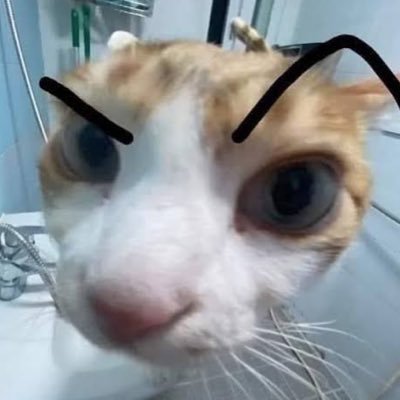 koonga (semi-hiatus) Profile