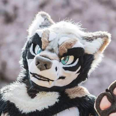 RhapsodieShep's profile picture. a gshep 🐶
sometimes a wolf (Roshu) 🐺
finance dancing doggy 💃 |
❤️ 🍜 food 🌎 travel 💪 fitness 🪴 plants 🐶 being pubby ✨ |
🇰🇷•🇺🇲 | he/they | 🔞+ | ❤️x💙