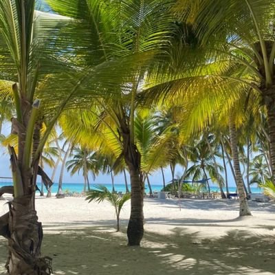 Oc1inc's profile picture. 