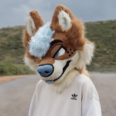 RoryShiba's profile picture. 18+ | 🐕 Shiba Inu | 🧵:@Gnaws