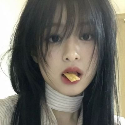 studyford's profile picture. café, gatinhos e estudo | #studytwt