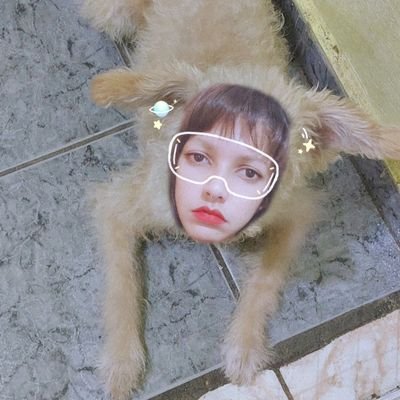 phonelilac's profile picture. Sante salut monamu e pau no sú.