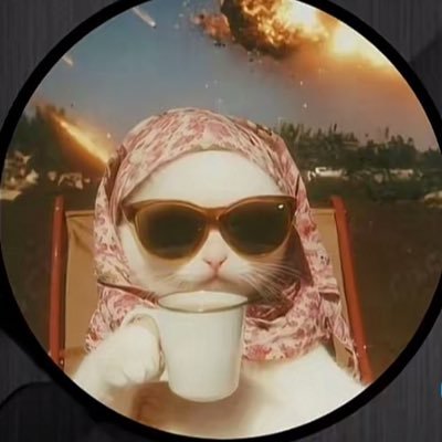 withaliyah_'s profile picture. I'm not always sarcastic. Sometimes, I'm sleeping.