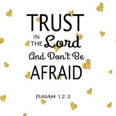 BibleView55497's profile picture. 