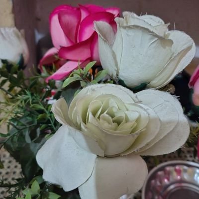 CryptoB73242's profile picture. 