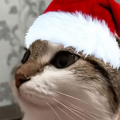 Snowcomics's profile picture. 中文: @Snowcomics9452 Español: @Snowcomics_ES 
Welcome to our newsroom, your go-to source for the latest updates and leaks on mobile phones and tablets. /🏳️‍⚧️/