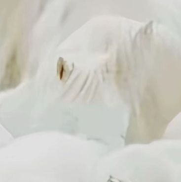 iptvfrance00111's profile picture. 