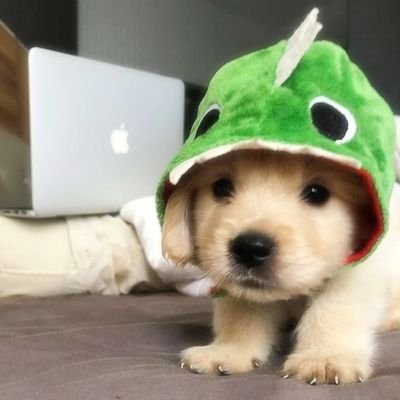 _Praachi's profile picture. Howdy people🖐🏻