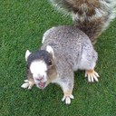 John Donovan - @muldunecat - Twitter