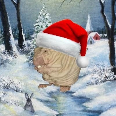 warcraftboomer's profile picture. I've been described as a stick in the mud, a crab in the bucket, a wet blanket, and a chopped unc. I post about World of Warcraft, Dark Souls, and other games.