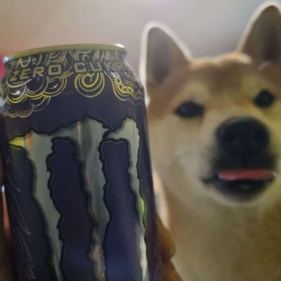 Ersan1337's profile picture. 