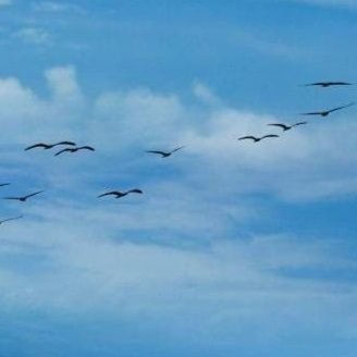 maitelabio's profile picture. La vida es la gran artista 

Artista 🎨 autodidacta