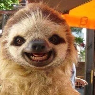 tANYAdYANE1013's profile picture. 