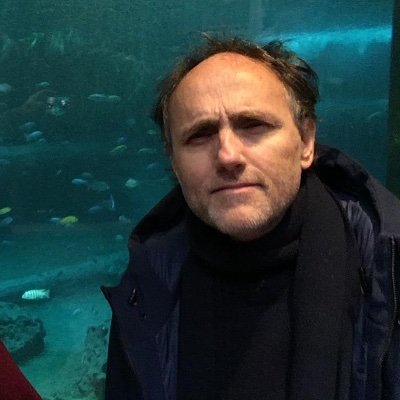 rogerkoza's profile picture. Crítico de cine (La voz del interior, Revista Ñ) y programador (Filmfest Hamburg-DocBuenos Aires-FICIC-Viennale)