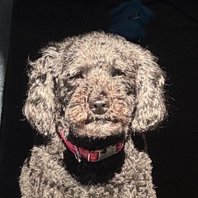 79jrod's profile picture. 