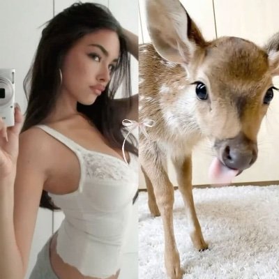 sweetstpiano's profile picture. 16. wokestpiano