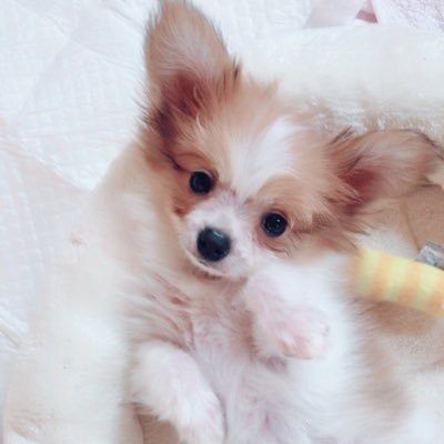 24k987hs09's profile picture. 消えたりいなくなったりするご予定は全くありません😜✌カロリーからハイカロリーになりました🥁🌸