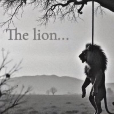 naazweed's profile picture. #takeroot