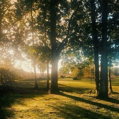 _adityabh's profile picture. 