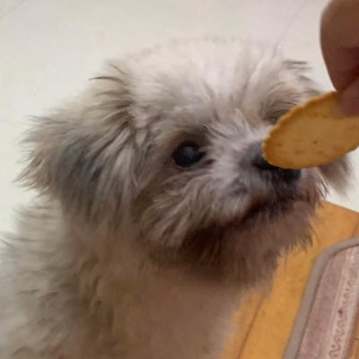 SleepEnjoyer0's profile picture. FB: Lynn A Mortem // Any pronouns // I draw what I want. Darkshippers fuck off