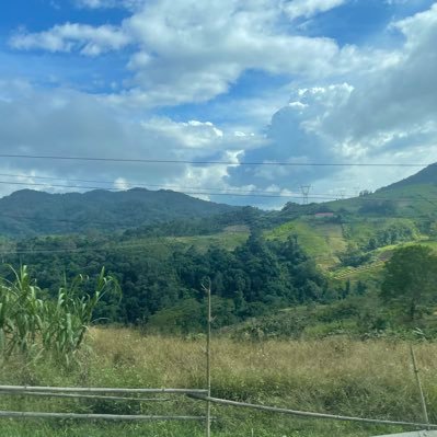 Thuannat36's profile picture. 