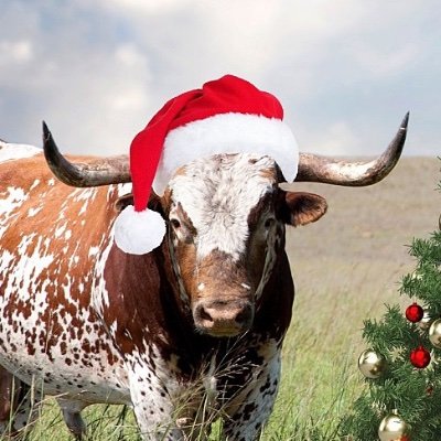 LadyTexicann's profile picture. Lover of books, babies, four legged friends, homeschooling, home building, and a smidge of politics.