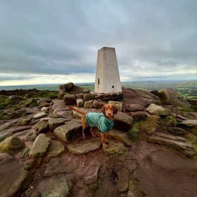 CeePeeh100's profile picture. 