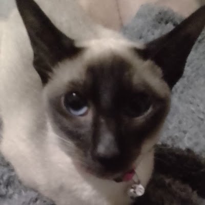 missnoraajami's profile picture. 