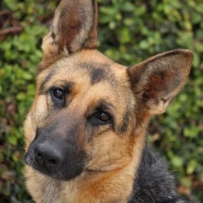 Rickman646's profile picture. Artist traditional/digital 
he/boy