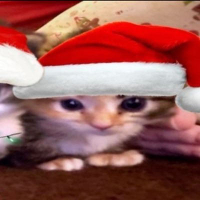 shelovesjuliana's profile picture. doy pena pero soy bonita