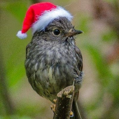 Alethios3's profile picture. Scheming Vizier. Writing about strategy, policy, and public sector reform at https://t.co/1dqZGp3q5r